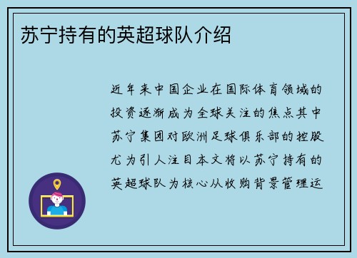 苏宁持有的英超球队介绍