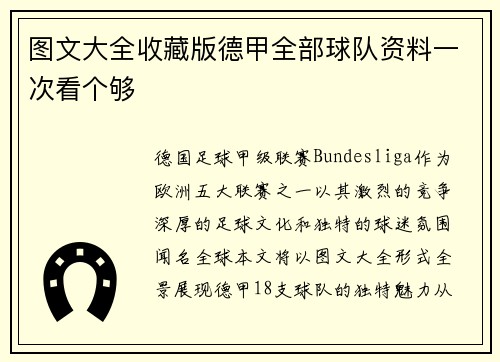图文大全收藏版德甲全部球队资料一次看个够